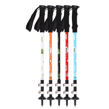 Load image into Gallery viewer, 2 Pcs Nordic Walking Sticks